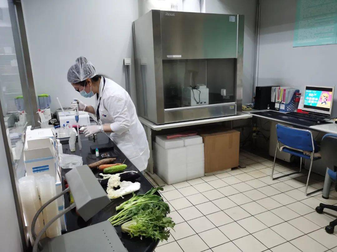 镇宁食品检测实验室装修方案